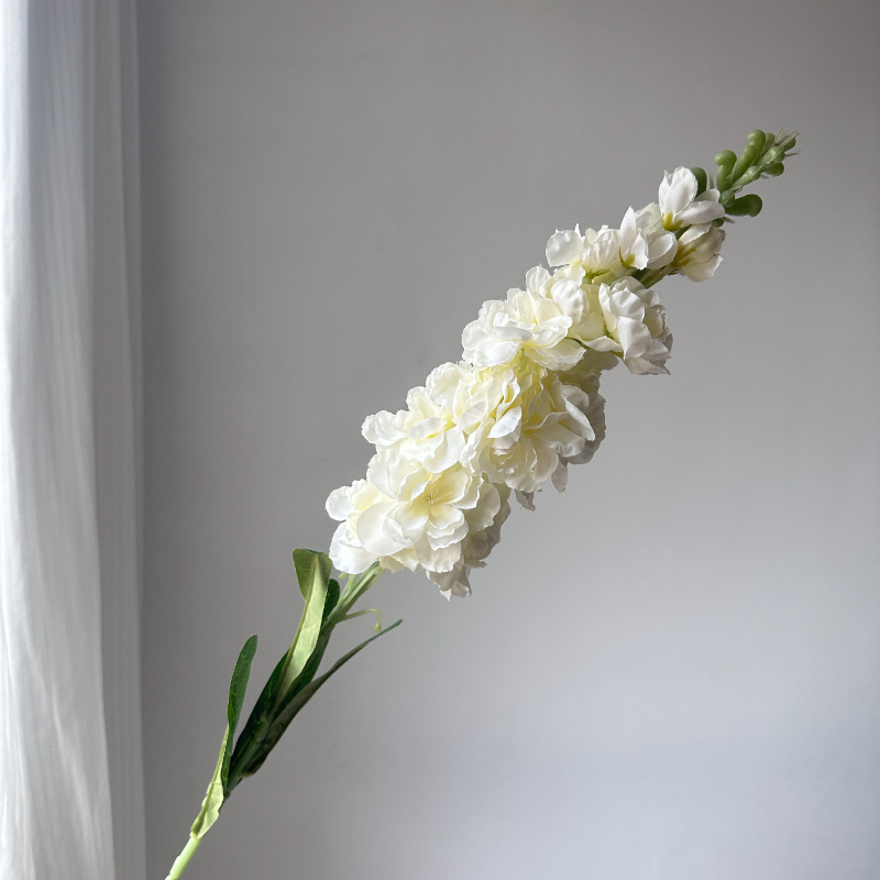 #1 bianco