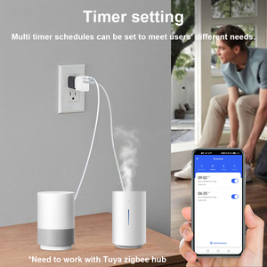 スマートTuyaZigbeeアウトレットスイッチアダプター音声制御USBプラグミニソケット、デュアルUSBまたはタイプC出力付き - Product Image 4