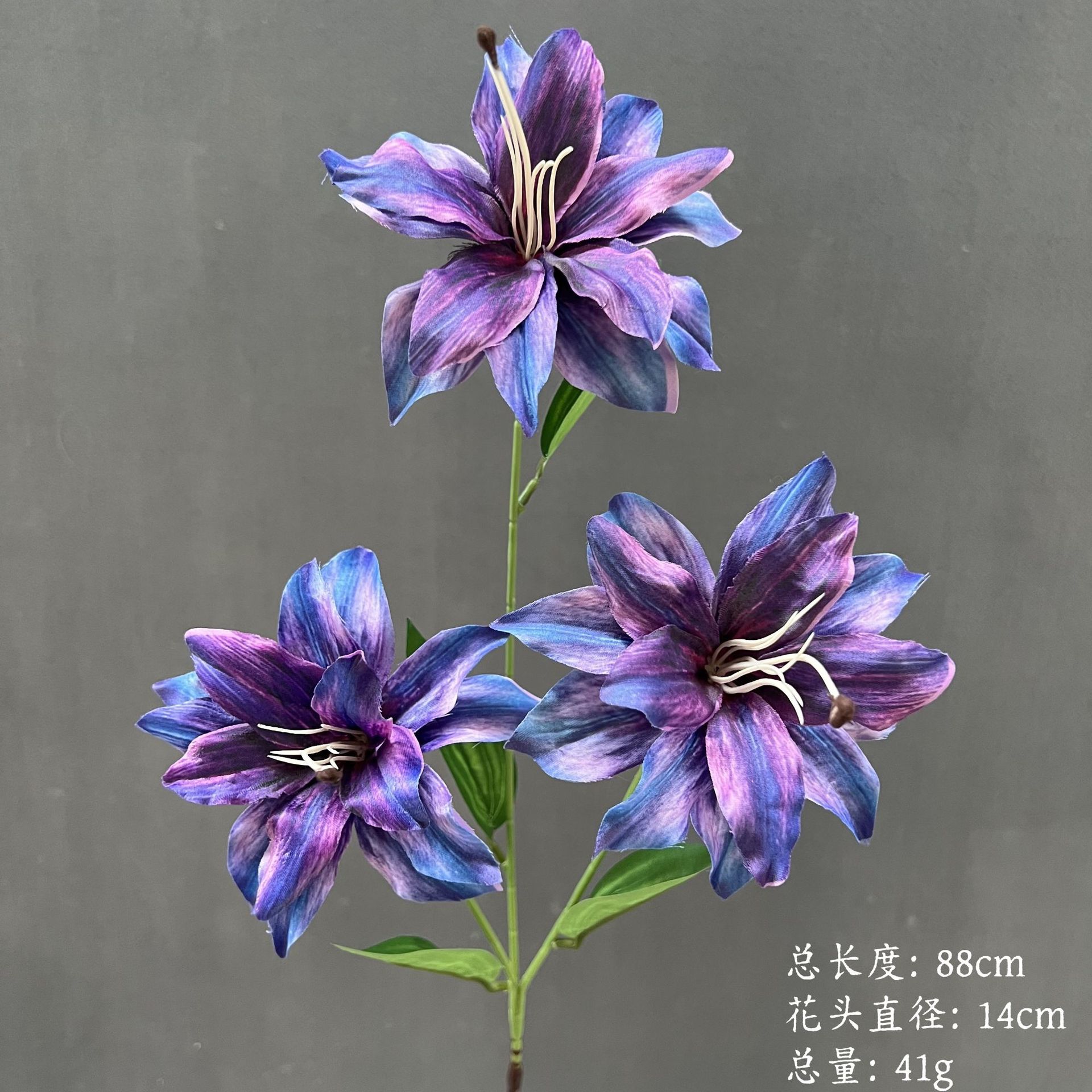 Article n° 233 - Lys flamboyant violet bleu