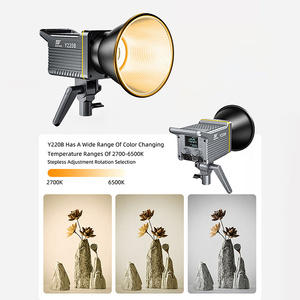 2700-6500K Dauer ausgang 300W LED Studio Video & Fotografie Beleuchtung Fernbedienung abdeckung Geeignete Netzspannung