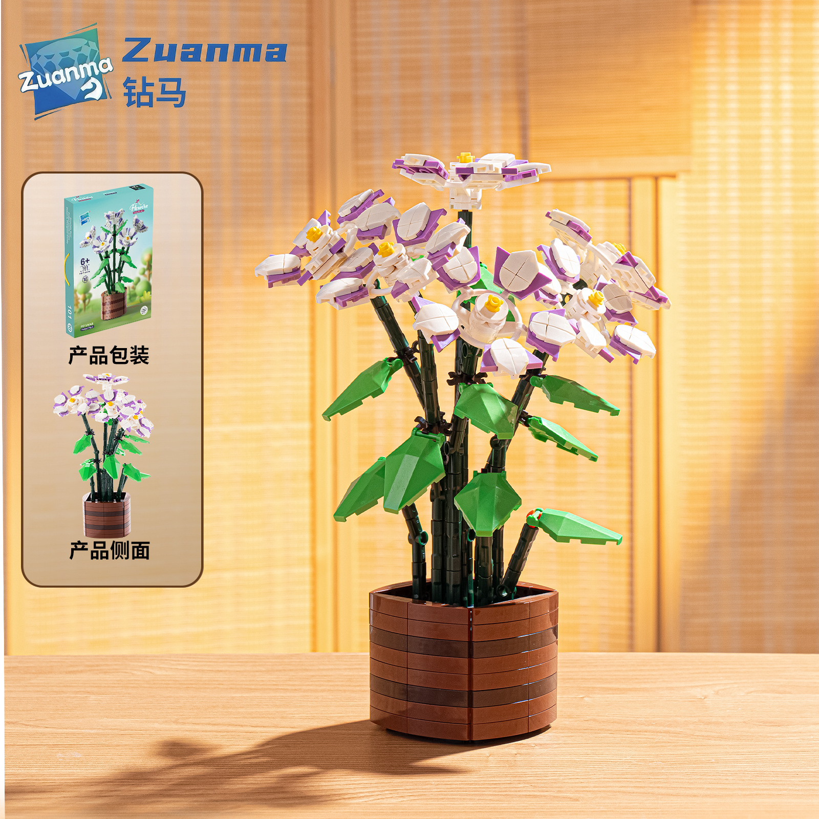 Morning Glory 101-10