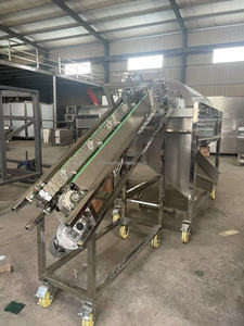 Máquina separadora de apertura de descascarado de vainas de cacao fresco para procesar desgranadoras de granos de cacao para línea de plantas cosechadoras - Product Image 2