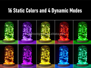Venta caliente 5M USB Árbol de Navidad Led Cadena de luces con aplicación inteligente Control remoto Navidad Decoración para el hogar Luces de hadas - Product Image 4