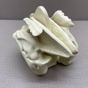 Kyrenmed đầu sọ sàng xương khuếch đại mô hình con người khuếch đại ethmoid mô hình xương 4X Độ phóng đại - Product Image 3