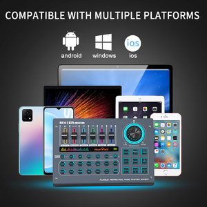 Professional USB <strong>Audio</strong> Interface With 48V Capacitive <strong>Microphone</strong> 2 in 2 Out Recording Studio Sound Card for Gaming Living Singing - Product Image 6