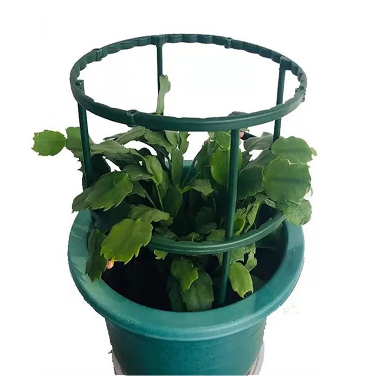 Forma semicircolare anello mezzo tondo pianta da giardino supporta anello gabbia porta paletti pianta supporto semicircolare