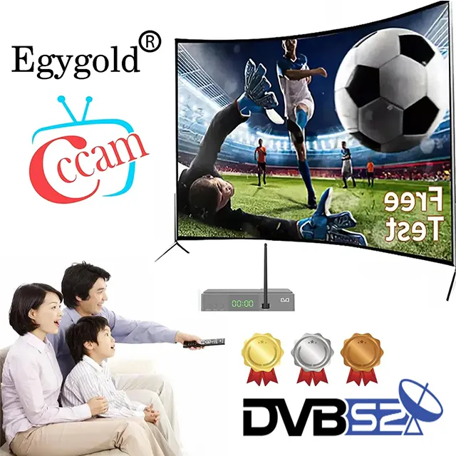 Egygold Cccam Europa 4K Cccam 7 líneas Egygold DVB S2 Oscam Polonia Cable adecuado para España Alemania Polonia receptor de TV prueba gratuita