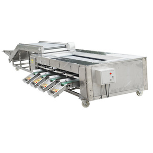 Automatic Fruit and Vegetable Size <strong>Sorting</strong> Grading <strong>Machine</strong> Potato <strong>Sorting</strong> <strong>Machine</strong> Fruit Dates <strong>Sorting</strong> <strong>Machine</strong> - Product Image 2