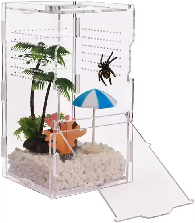 Acrylic bao vây nhảy Spider côn trùng hồ cạn cho cây nhỏ ở loài bò sát lưu trữ hộp Thùng