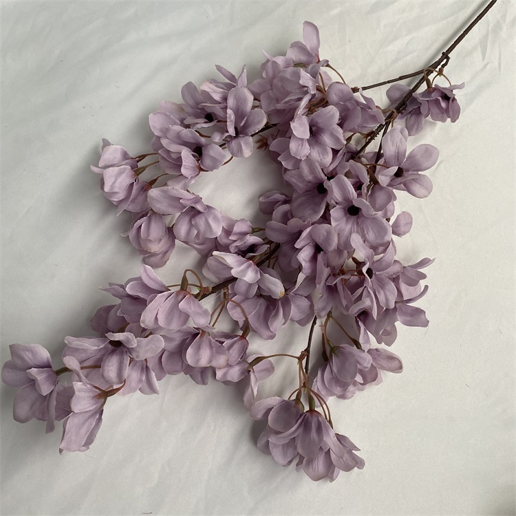 Lavanda