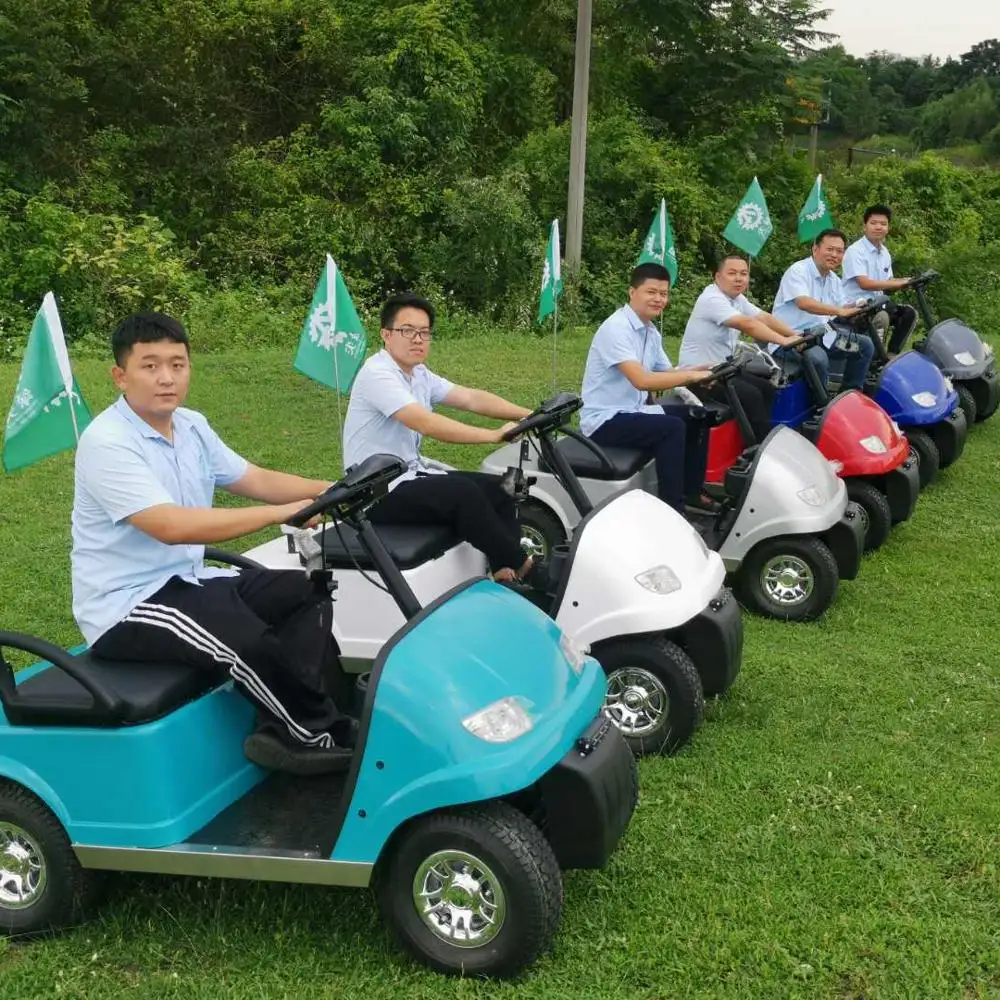 Phổ Biến Một Chỗ Ngồi Hoặc Mini Hai Chỗ Ngồi Golf Giỏ Hàng Với Giá Rẻ Với Pin Axit Chì Hoặc Pin Lithium