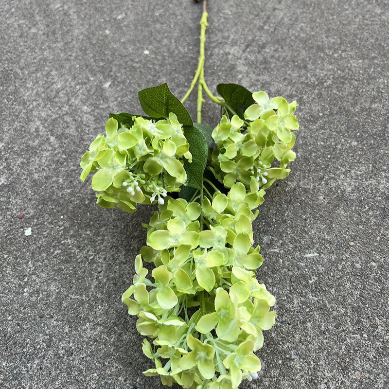 13 3 têtes leffy lilas hortensia-vert