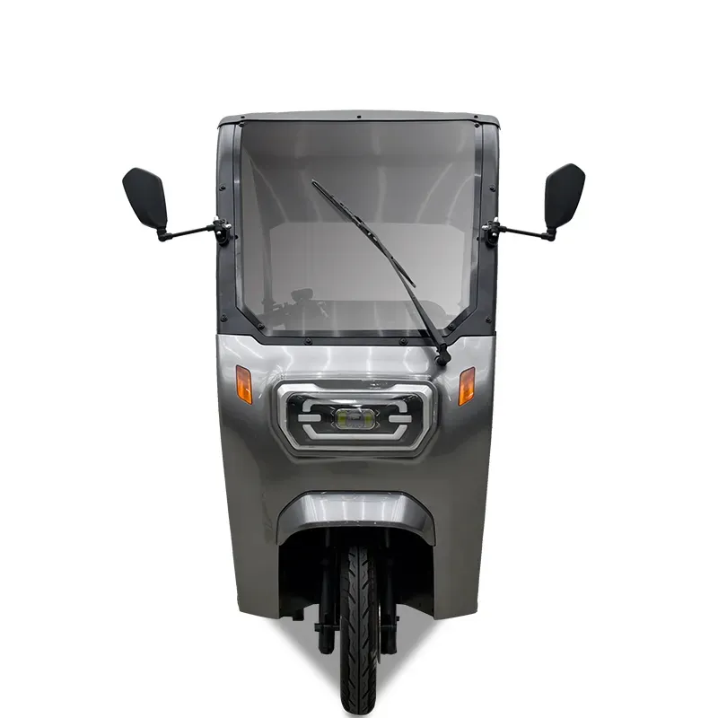 Vendita calda scooter elettrici a 3 ruote per adulti triciclo elettrico turchia triciclo elettrico per passeggeri per triciclo prezzo