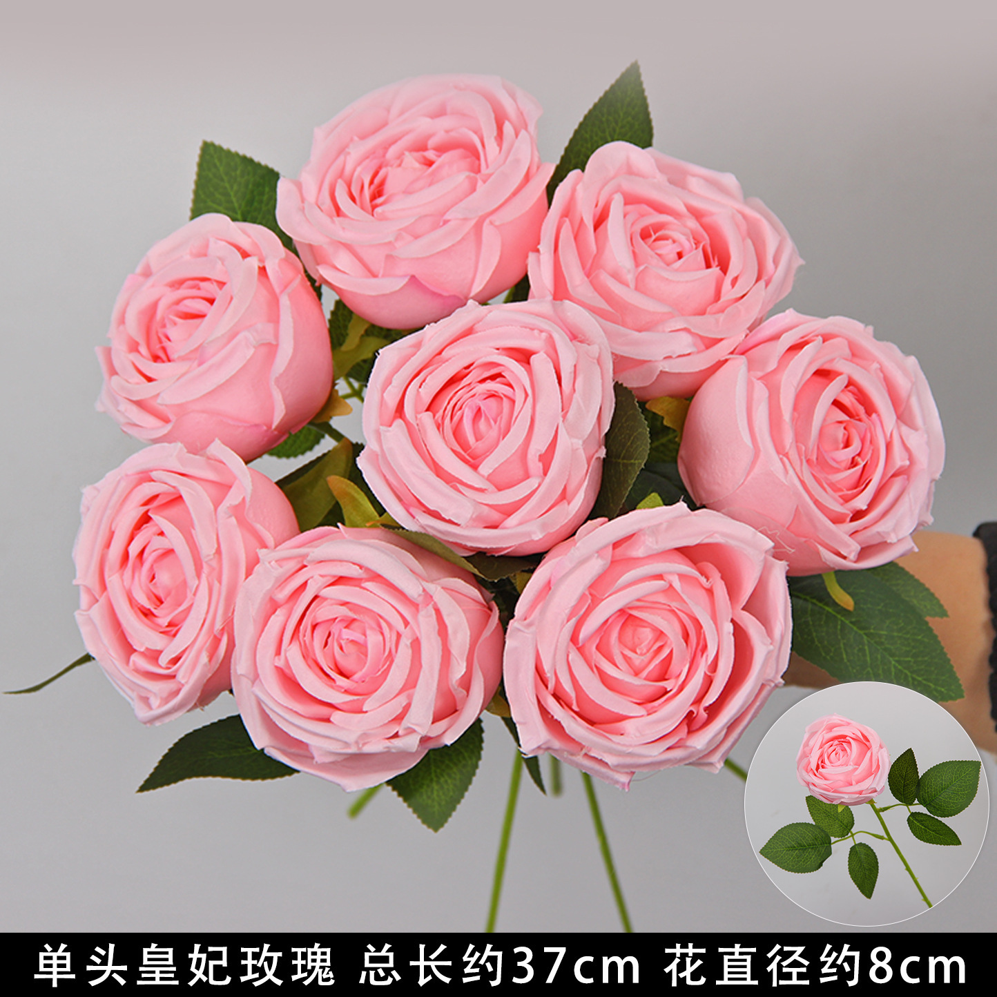 Princesse Rose rose à une tête