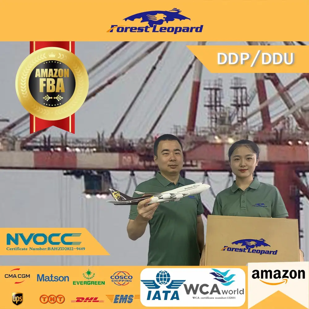 中国から米国英国への最も安いDdpドアツードアエクスプレス通関サービス海運代理店貨物運送業者