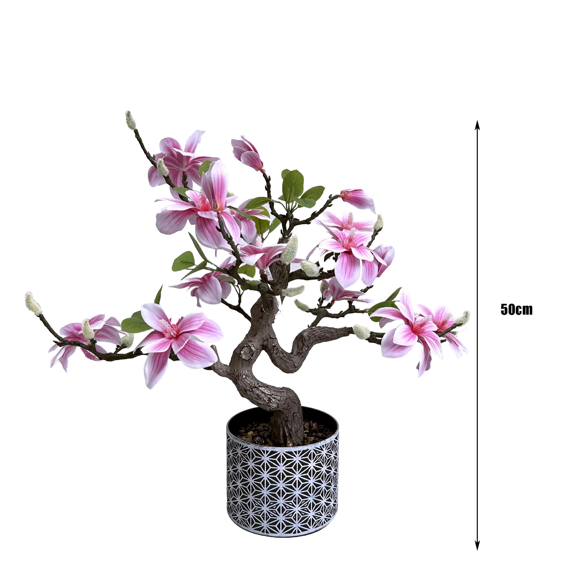 Rosa-50cm-B