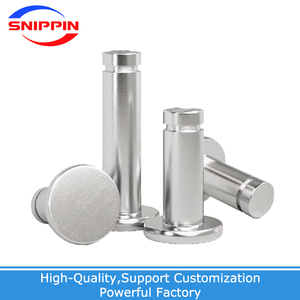 M3 M4 M5 M6 M8 M10 M12 A2 thép không gỉ phẳng đầu mang hình trụ định vị trục cuộn Chốt <span class=keywords><strong>pin</strong></span> với trục circlip - Product Image 4