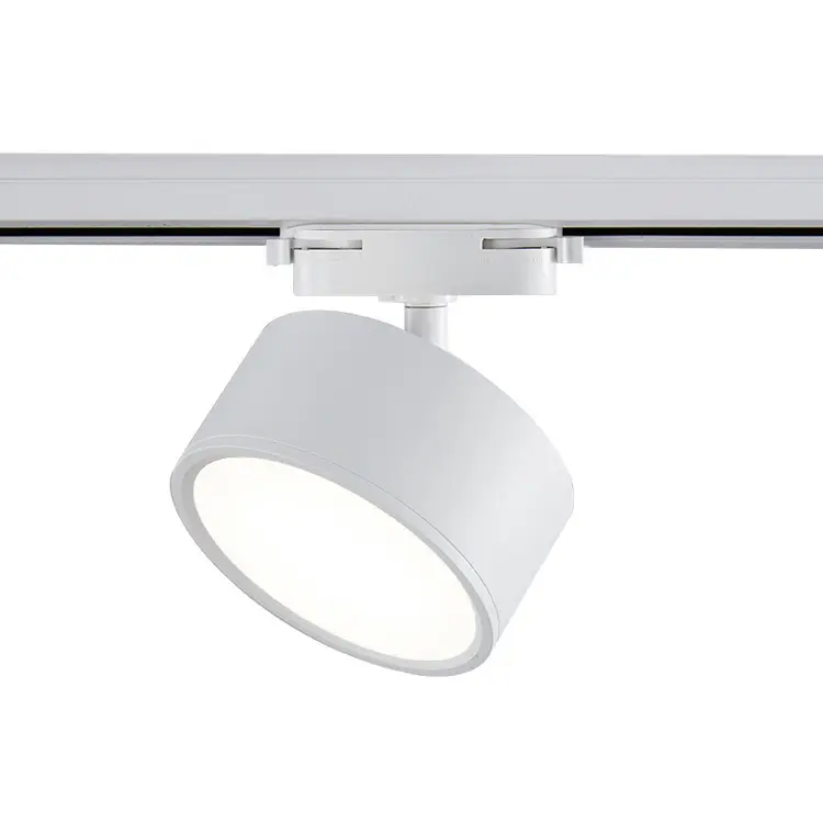 24W 360 degree rotation spotlight Astigmatic LED track light for Clothing store window light background wall