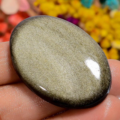 Pierre de palmier obsidienne dorée