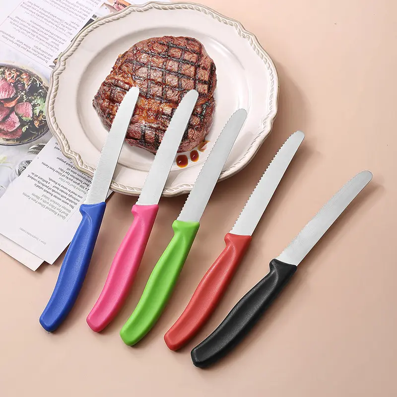 سكين مستعملة يمكن إعادة استعمالها الأكثر مبيعًا سكين تقطير خضروات بمقبض ملون وبحافة مموجة سكين تقشير مستعمل مدبب