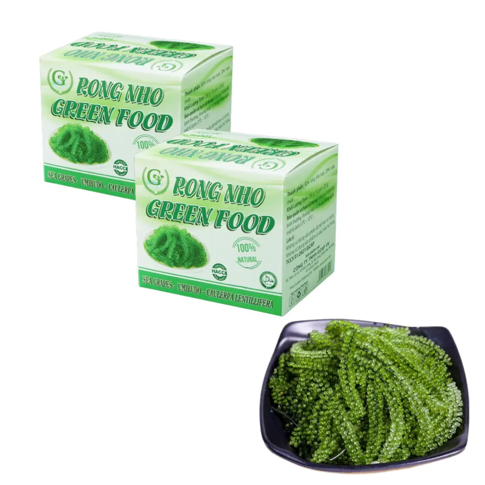 Raisins Algues Salées Raisin de Mer Aliments Verts Raisin de Mer Livraison Rapide Certification Iso Emballage Dans Une Boîte En Carton Du Vietnam