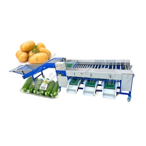 Minimáquina de clasificación de pepino, máquina de clasificación de tamaño de fruta y pepino - Product Image 1