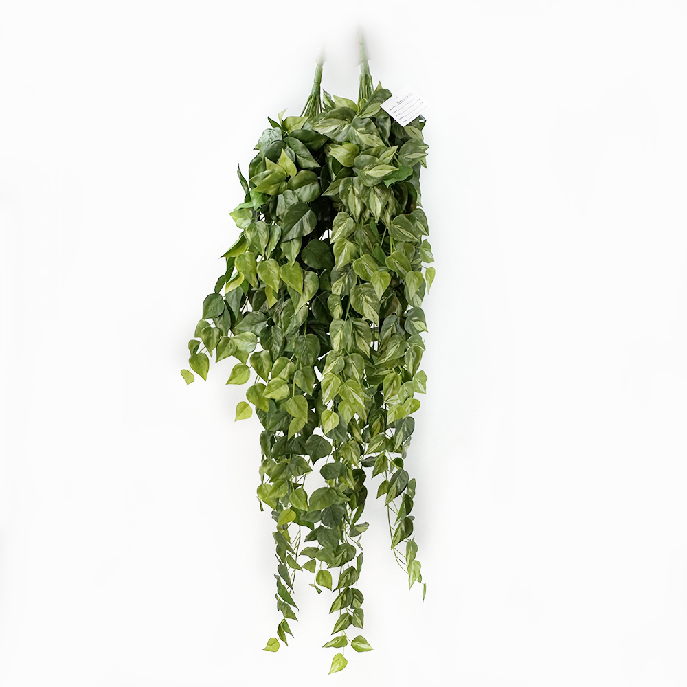 Vert