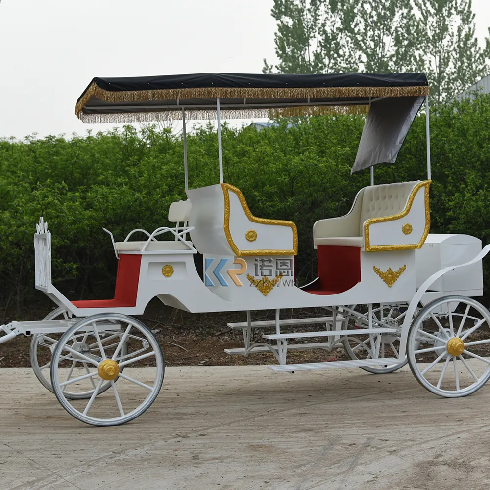 Transport de véhicules de transport de chevaux de tourisme romantique et touristique