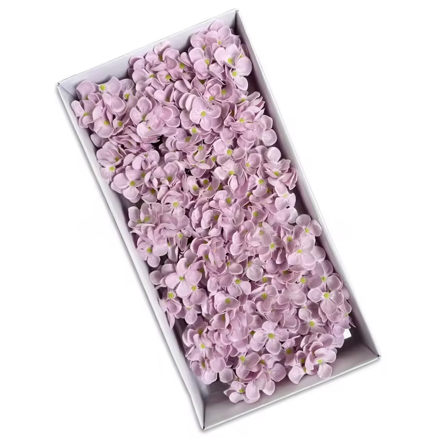 Lavanda