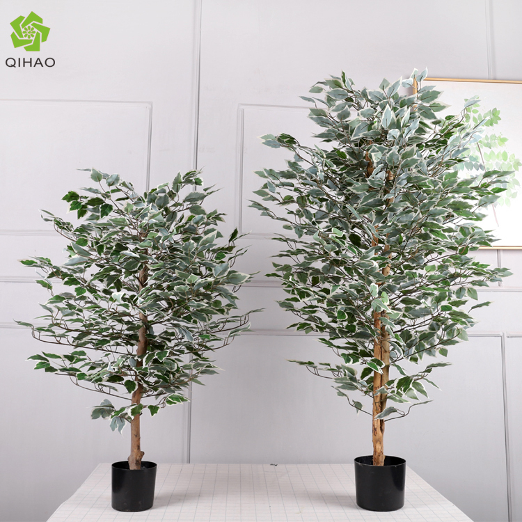 1.3m green + white edge banyan