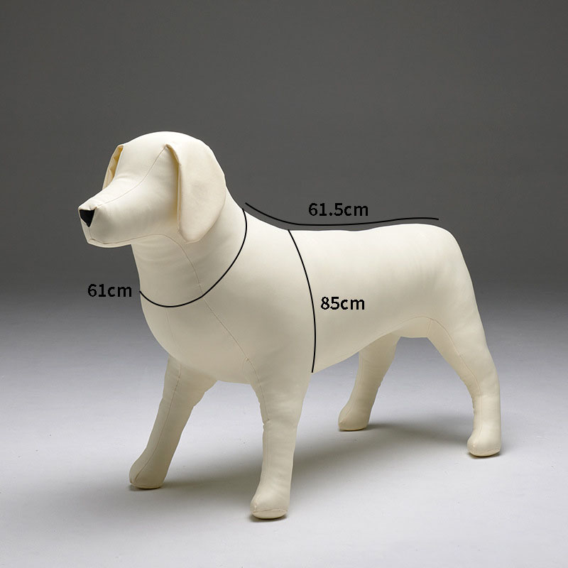 Golden Retriever JM blanc