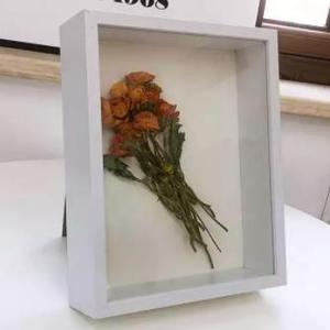 Diy Plant Specimen Display square 2 Inch Deep Shadow <strong>Box</strong> Frame White Black 4 Frame Color <strong>10x10</strong> Shadow <strong>Box</strong> Frame - Product Image 2