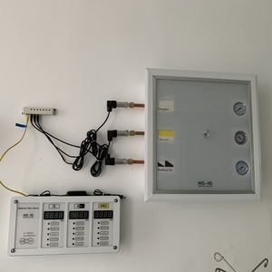 HG-IG tıbbi gazlar vanalar kutusu hastane bölgesi vana kutusu tıbbi gaz kontrol vanası kutusu - Product Image 6