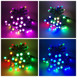 5v 12mm <strong>Led</strong> <strong>Ws2811</strong> <strong>Pixel</strong> Module 50 <strong>Node</strong>/<strong>string</strong> Digital Rgb Full Color Waterproof Ip68 <strong>Led</strong> <strong>String</strong> for Letters Sign - Product Image 6