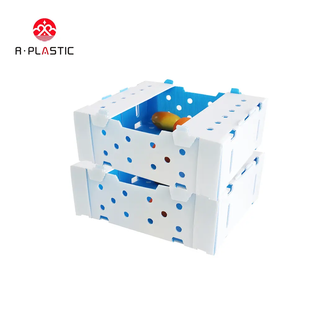 Scatola di imballaggio gombo in plastica resistente e facile da lavorare scatola di imballaggio refrigerata per il trasporto