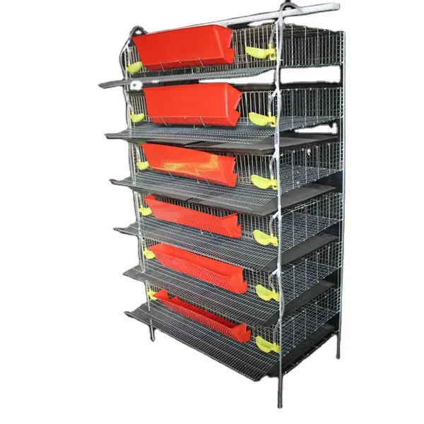 Cages en bois automatique en plastique, 4 pièces, haute qualité, pour cailles, accessoires du système d'arrosage, vente en gros