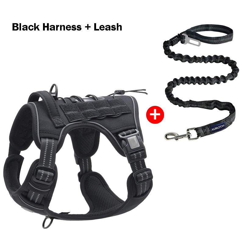 Black Harness+Leash
