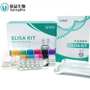 İnsan tamamlayıcı yanıt geni 32 (RGC32) elisa seti - Product Image 1