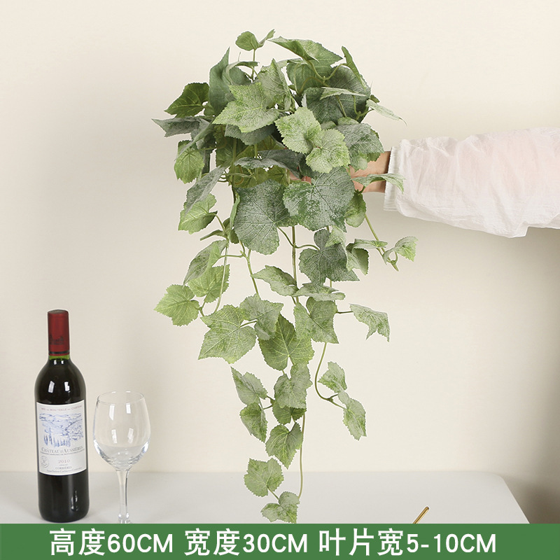 A bunch of English grape leaves on a small branch
