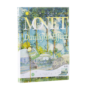 Großhandel Custom A5 Planner Notizbuch Hochwertiges Hardcover-Notizbuch mit Karton abdeckung