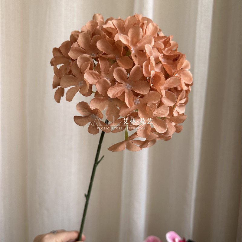 Single branch pentagonal hydrangea