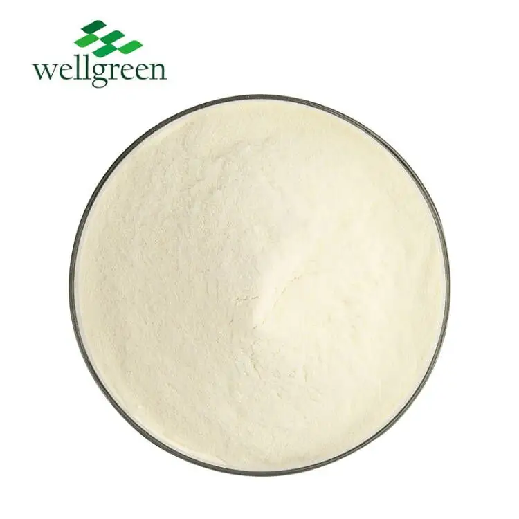 Factory Bulk Price Food Grade Healthcare Supplement Use Omega 3 Fish Oil DHA Powder