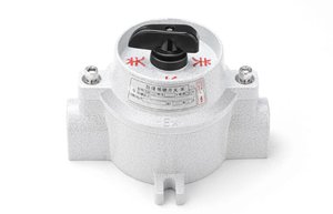 防爆照明开关产品防爆电灯控制开关SW-10 - Product Image 4