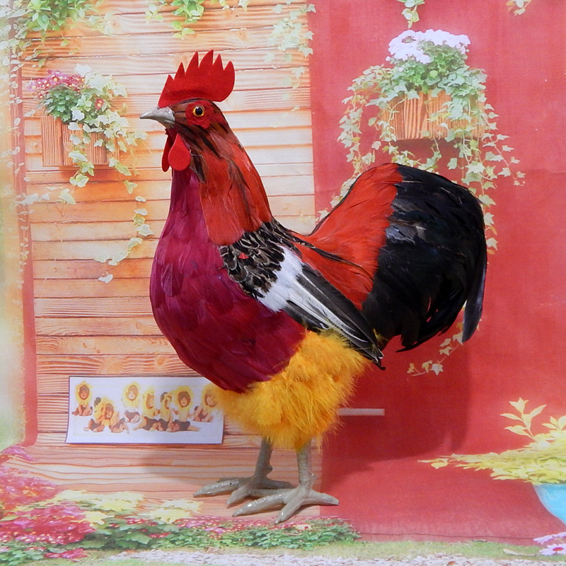 Yellow-legged rooster feathers number one