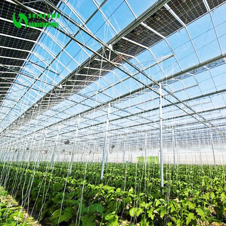 Cost-effective solar energy saving smart agricultural greenhouse for sale