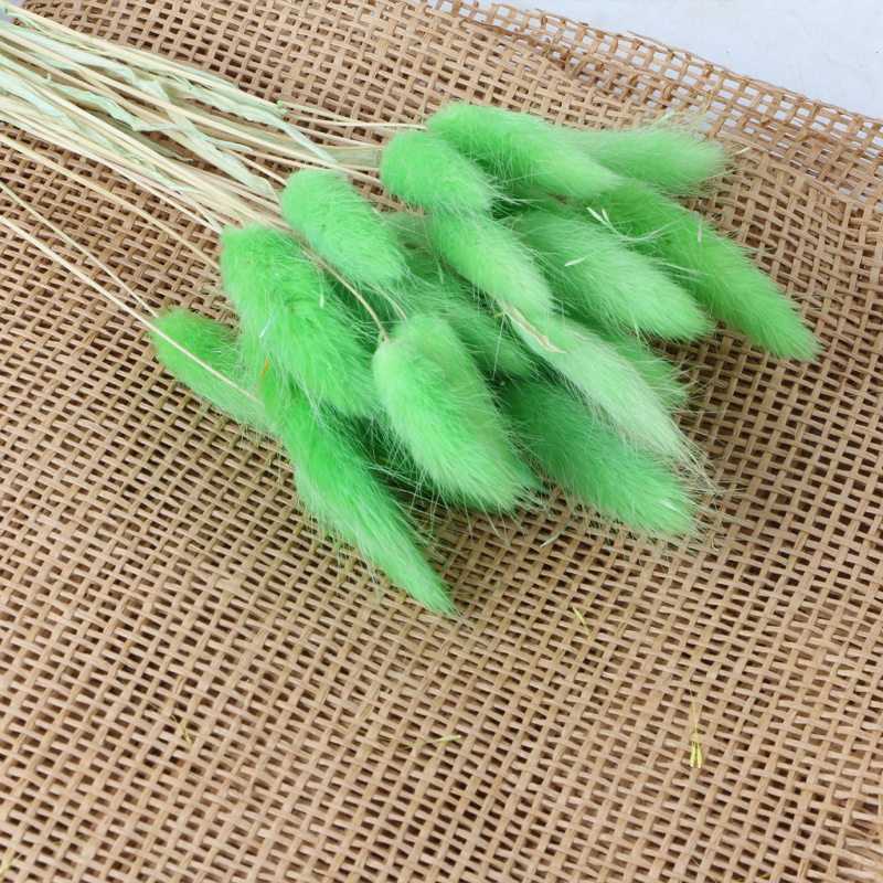 Vert clair (env.30 pièces)