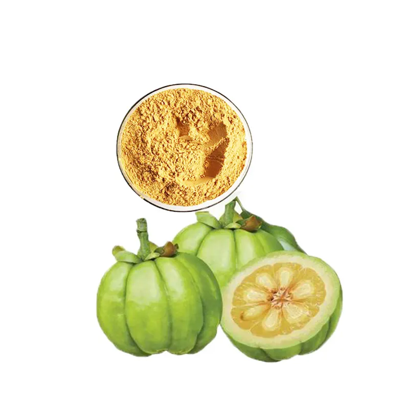 حبوب من Garcinia cambogia المستخلصة من نبات الغرسينا الكامبوجي خاصة بنسبة 85% للحفاظ على التنحيف وحرق الدهون بالشاي العصري في عبوات زجاجات