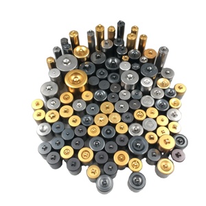 Độ chính xác cao tùy chỉnh vít đấm khe đấm với cú đấm thứ hai khuôn tùy chỉnh cho các ứng dụng hơi say - Product Image 1