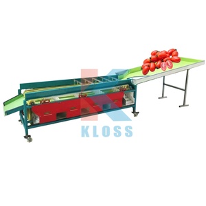 Hot Sale Durable Apple Fruit <strong>Sorting</strong> <strong>Machine</strong> / Macadamia Nuts <strong>Sorting</strong> <strong>Machine</strong> / Lemons <strong>Sorting</strong> <strong>Machine</strong> - Product Image 2