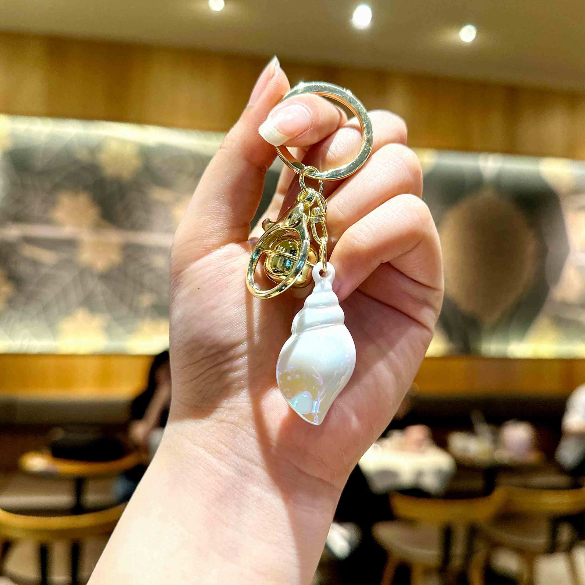 Small conch white